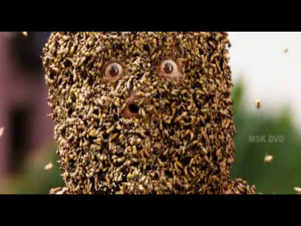 कृमिभोजनम 