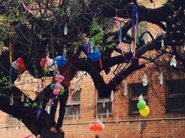 हार्ट शेप गुब्बारों और कंडोम से सजता है ट्री