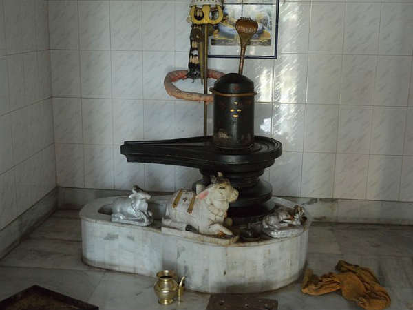 कटती है हर तरह का बीमारी.. 