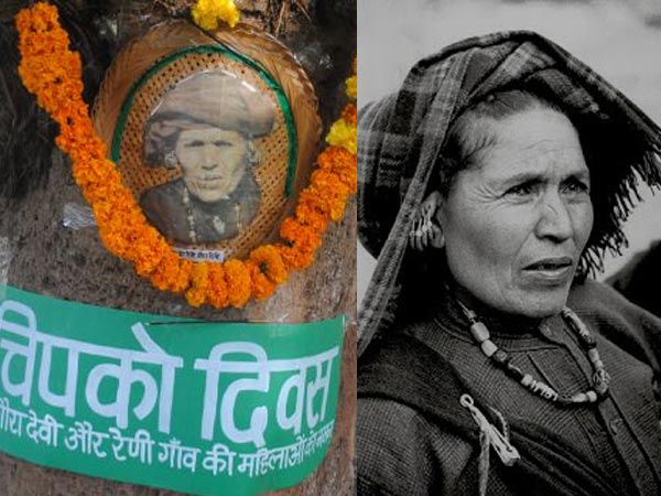  नारीवादी पर्यावरण 