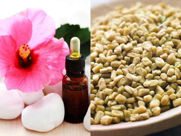 गुड़हल और मेथी के पत्‍ते