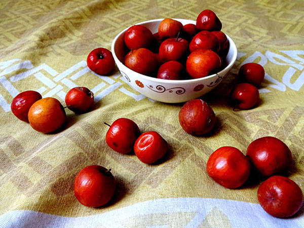 बालों को झड़ने से बचाएं 