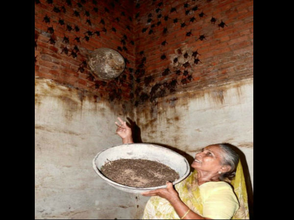 This 74-year-old ‘bat woman’ is not scared of Nipah virus