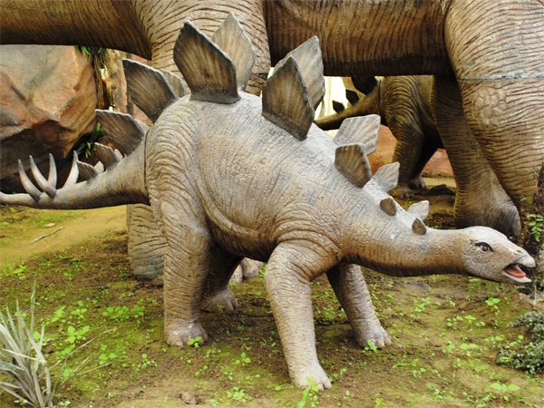 स्‍टेगोसॉरस