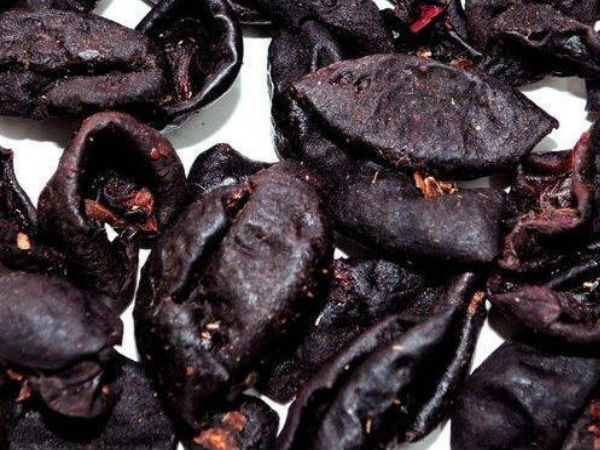 कोकम के औषधीय गुण