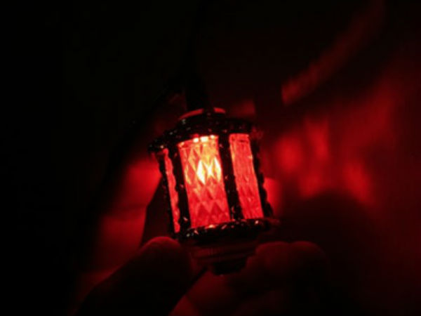 सेक्स सरोगेट्स नहीं करते वेश्यालय में काम