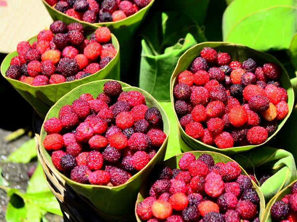 लू से बचाता है 