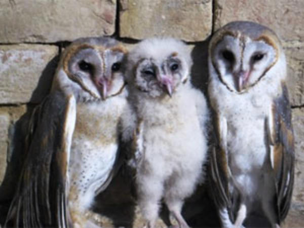  मौसम भी बता देता है 