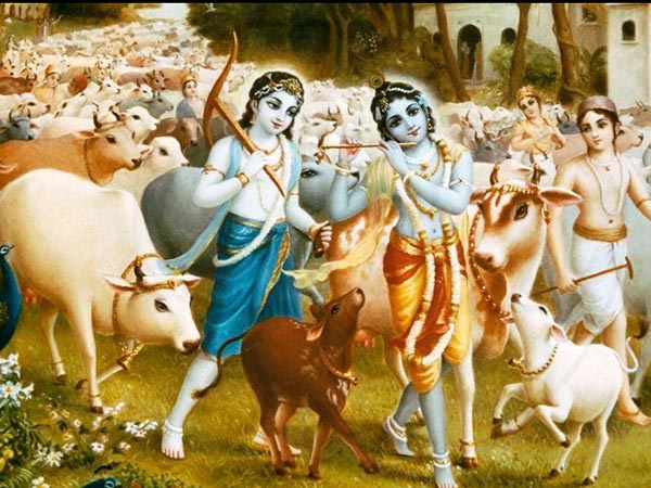 पहली बार श्रीकृष्ण गायों को ले गए थे चराने