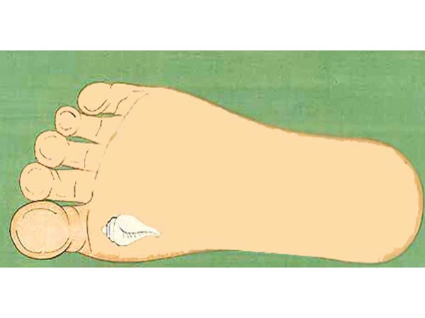 पैरों में शंख या मछली 