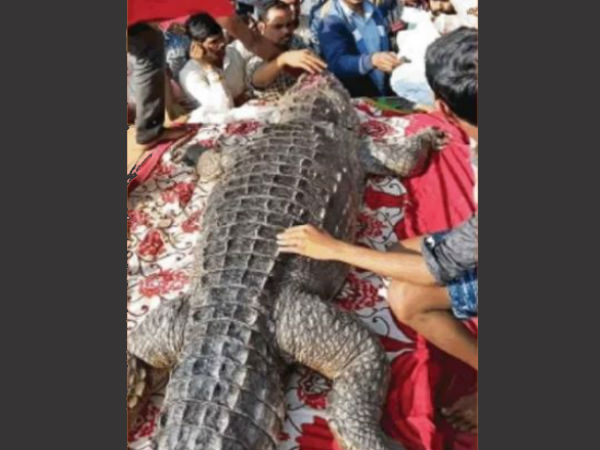 किसी के घर नहीं जला चूल्‍हा 