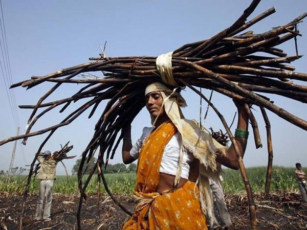  इस वजह से महिलाएं निकाल देती है गर्भाशय 