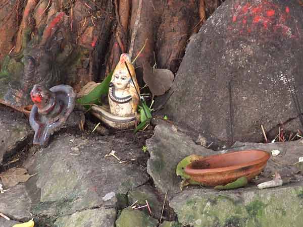 ग्रहों की शांति के लिए चढ़ाया जाता है कच्चा दूध ग्रहों की शांति के लिए चढ़ाया जाता है कच्चा दूध