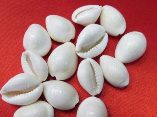 इस उपाय से होगी धन वर्षा 