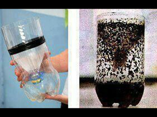 मॉस्किटो ट्रैप'