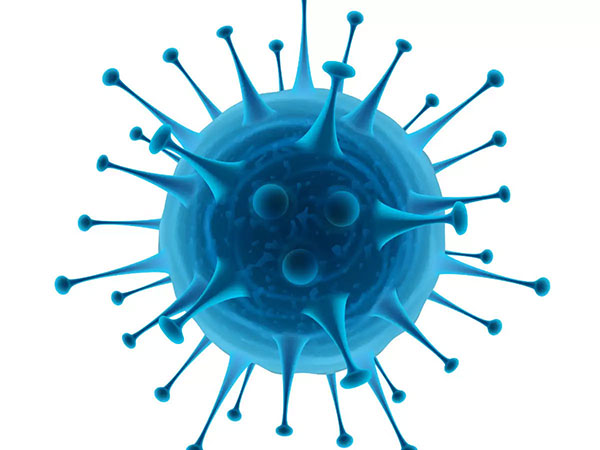 क्‍या है सी ऑरिस, पहले ये जान लें 