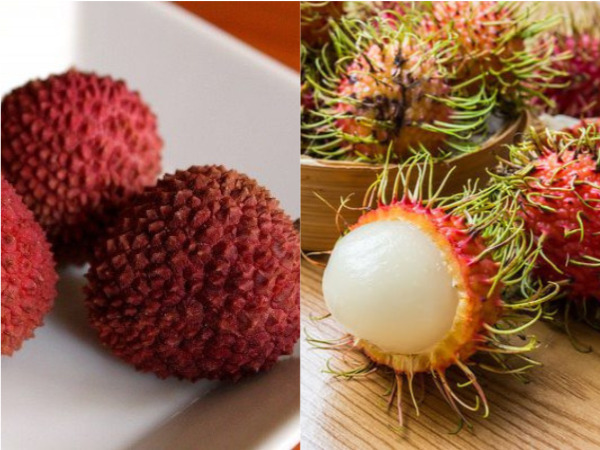 लीची और रामबुतान में अंतर 