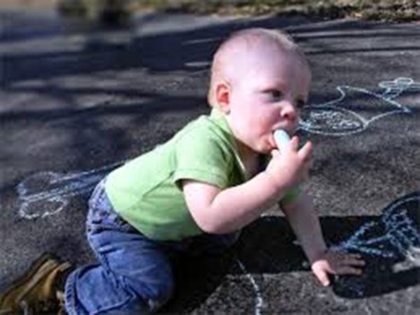 अजवाइन पाउडर