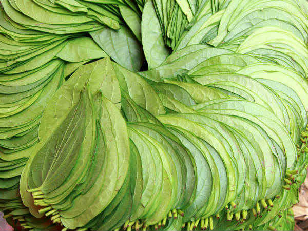 Paan or betel leaf remedies for good luck