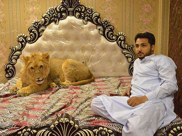 बढ़ गया रुतबा 