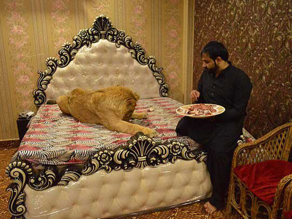 पूरी सहूल‍ियत का रखते हैं ध्‍यान