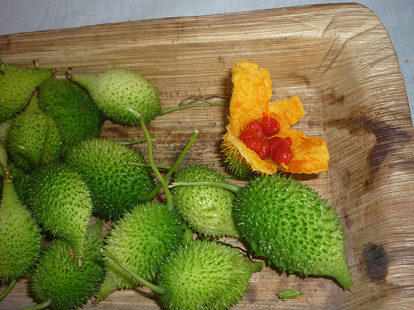 100 ग्राम सब्‍जी में 17 कैलोरी पाई जाती है