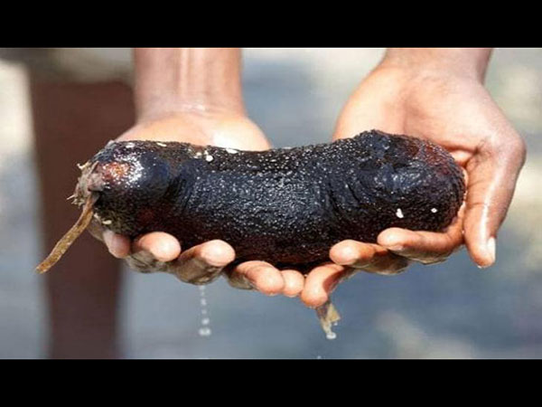 फैक्‍ट 1