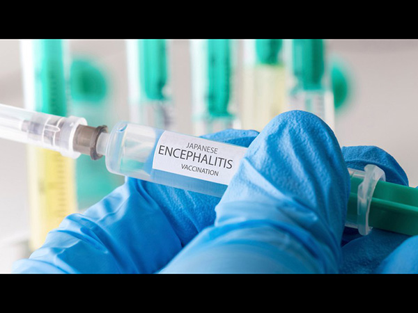 जापानी इन्सेफेलाइटिस का इलाज