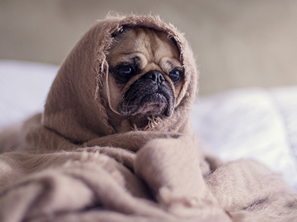 गर्म पानी का इस्‍तेमाल