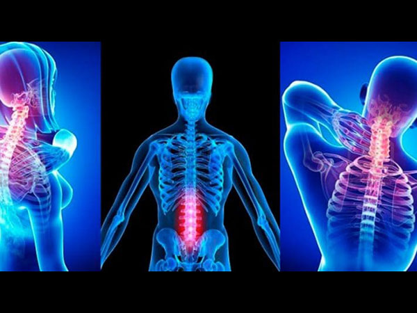 ये कैसे करती है मदद