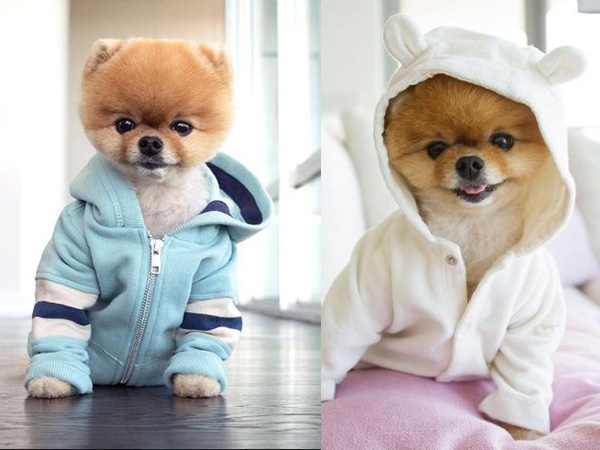  केटी पैरी के वीड‍ियोज में आ चुका है नजर