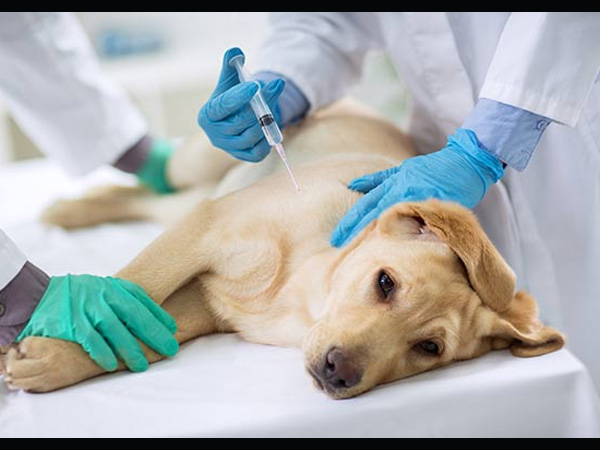 सर्जरी से