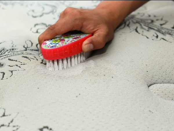 इन बातों का रखें ध्‍यान