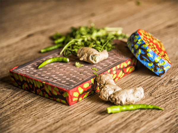 मोटापा मोटापा