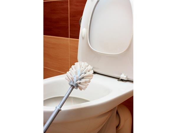  ब्रश को ऐसे रखें