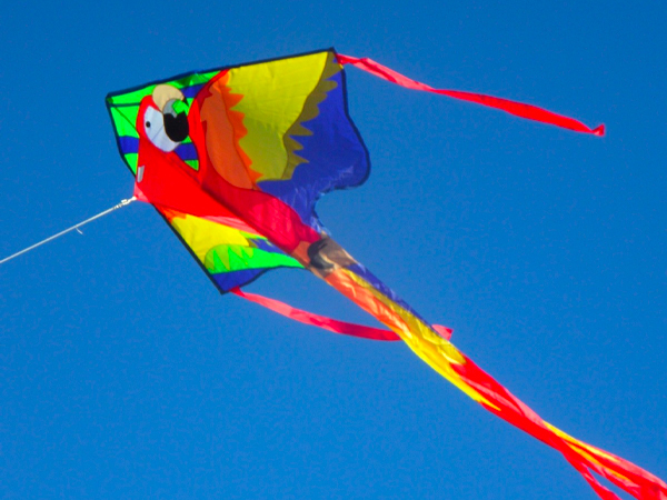 चायनीज डोर से बनाएं दूरी