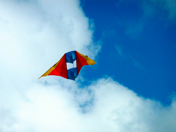 बिजली के खंभों से रहे दूर