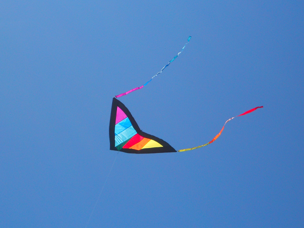 डोर न फेंके इधर-उधर