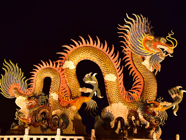 कहां और कितने रखें