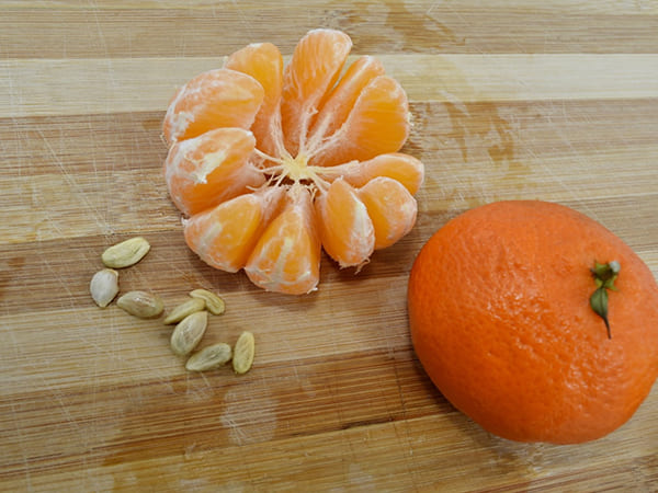 इम्‍यून सिस्‍टम को मजबूत बनाएं 