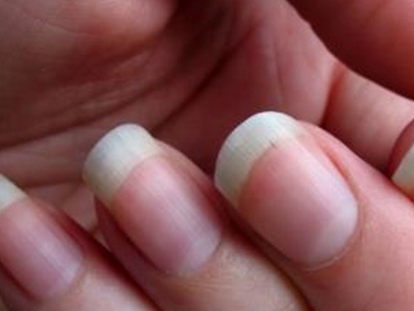 पोषक डाइट