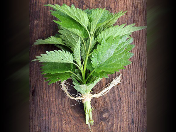 स्किन के ल‍िए फायदेमंद