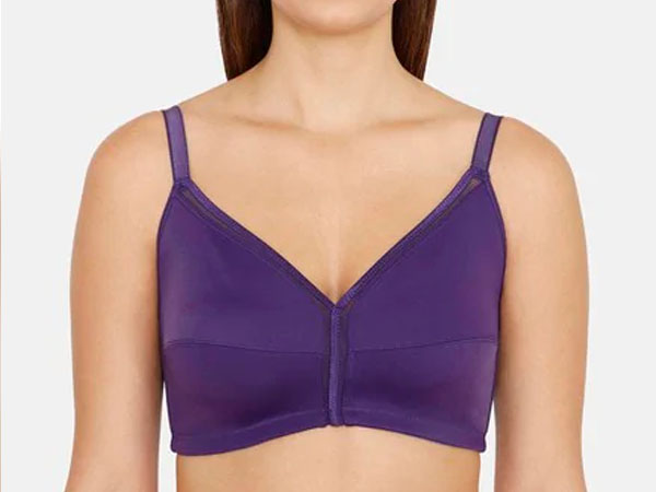मिनिमाइजर ब्रा