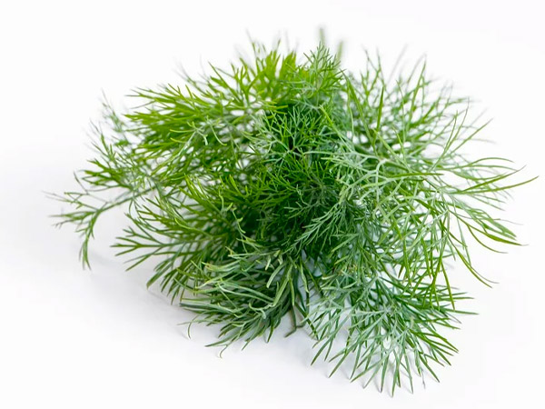 एंटी-कैंसर प्रॉपर्टी होती है शामिल