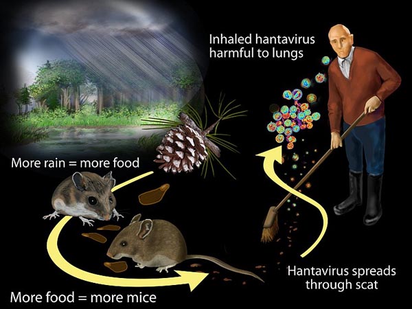 42 साल पहले सामने आया था पहला मामला