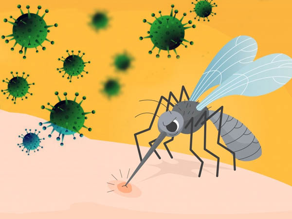 मच्छर के काटने से क्या हो सकता है कोरोना वायरस?