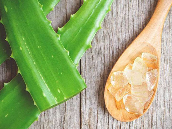 ऐलोवेरा