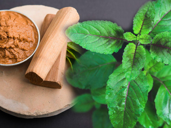 तुलसी और चंदन
