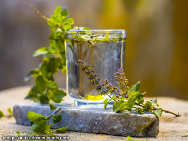  3. तुलसी का पानी 