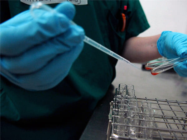 ऐसे करेगा काम